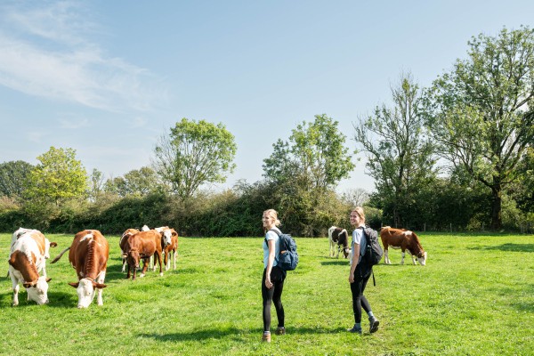 Land van Cuijkpad Etappe 3.jpg