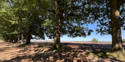 Land van Cuijkpad Etappe 4.JPG