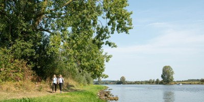 Land van Cuijkpad Rondwandeling A .jpg
