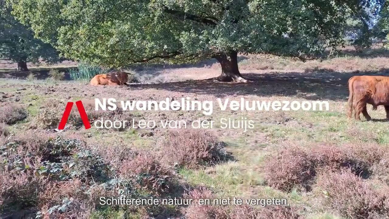 NS-wandeling Veluwezoom 1.png
