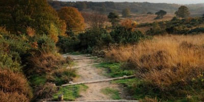nationaal-park-veluwezoom.jpg