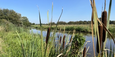 Land van Cuijkpad Rondwandeling B.JPG