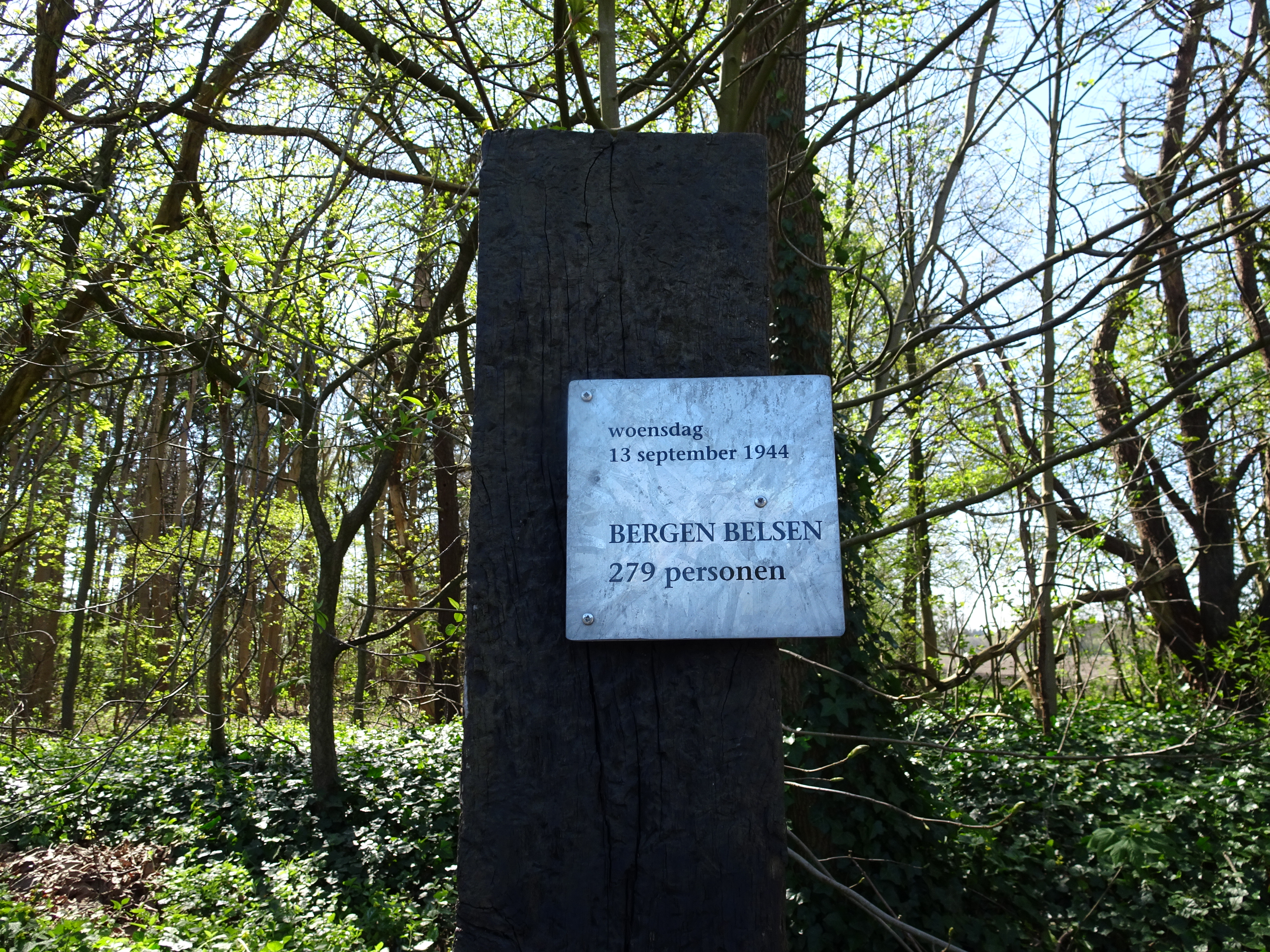 Wandelen Over De Laatste Etappe Van Het Westerborkpad - Wandelnet