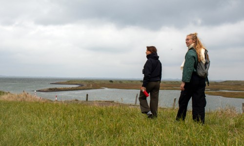 Oosterscheldepad 3 liggend.jpg