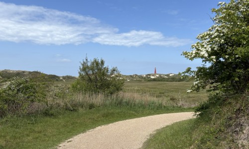 Schiermonnikoog met de kenmerkende rode vuurtoren © Ernst Koningsveld.jpg