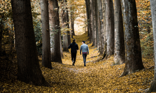 Wandelaars in het bos in de herfst
