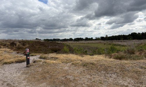 Nationaal Park De peel © Ernst Koningsveld.JPEG