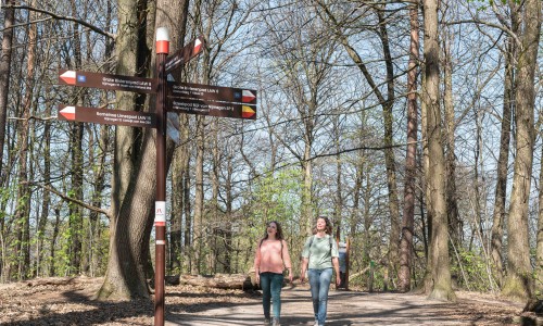 Eva en Myrte nabij Duivelsberg bij Berg en Dal-6518-min.jpg