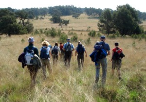 Wandelaars_Eindeloze_Veluwetocht_Natuurmonumenten.jpg