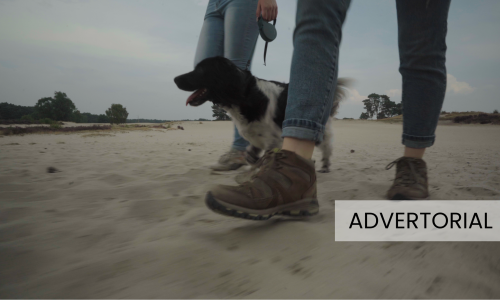 Advertorial - foto rechtenvrij.png