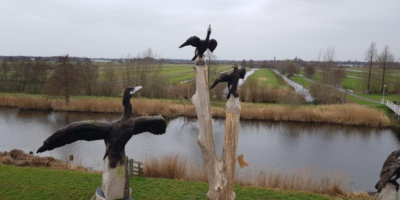 Trekvogelpad (LAW 2) | Wandel Door Vogelrijke Natuur - Wandelnet