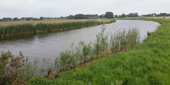 Pieterpad_Eenrum_Winsum_2.jpg