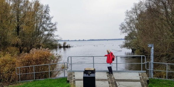 biesboschpad.jpg