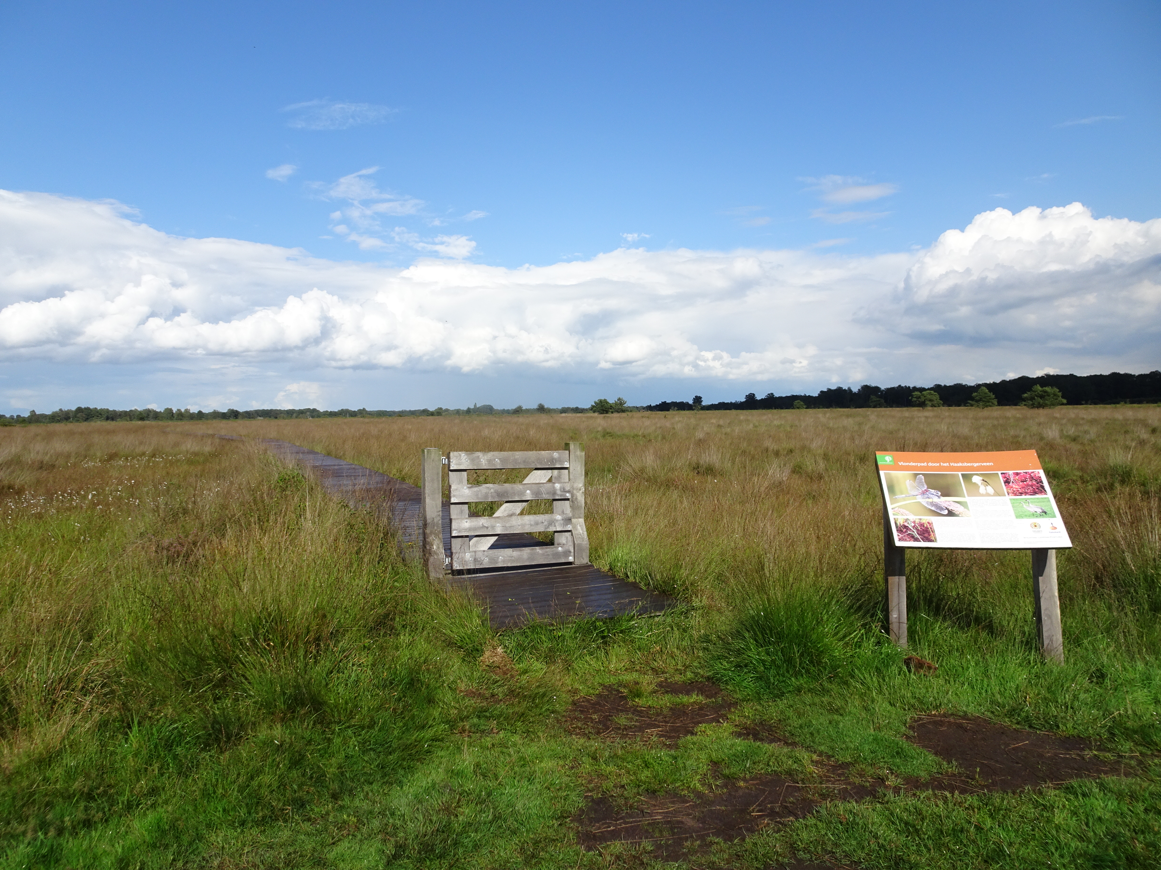 Wandelen In Twente Over Het Trekvogelpad - Wandelnet