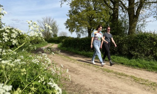 4b IMG_5973a Maasheggen - Luuk Gijselhart.JPG